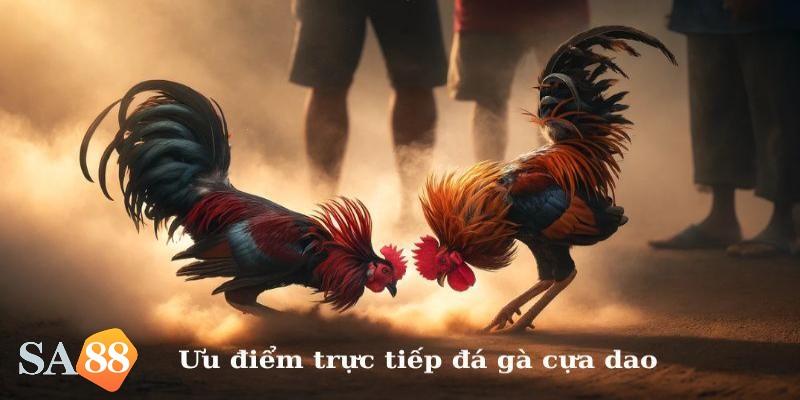 Đá gà Sa88
