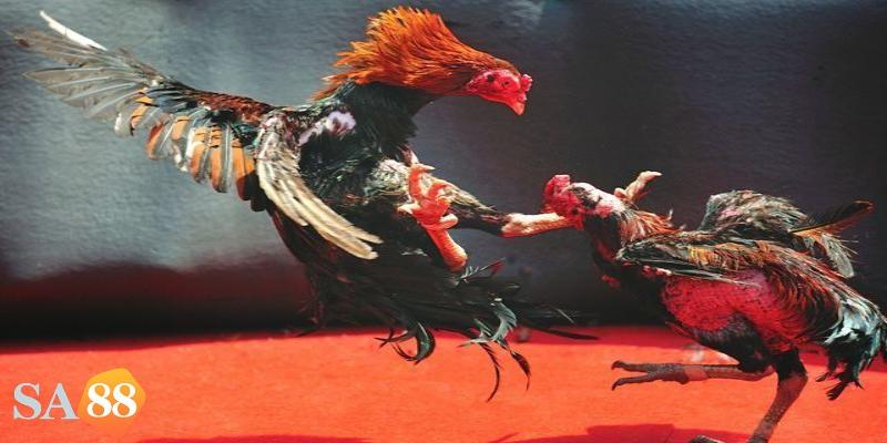 An tâm với bảo mật tại Sa88